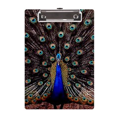 Peacock A5 Acrylic Clipboard by Ket1n9