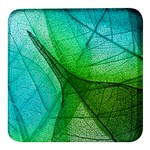 Sunlight Filtering Through Transparent Leaves Green Blue Square Glass Fridge Magnet (4 pack) Front