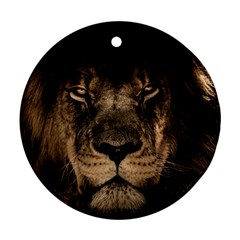 African-lion-mane-close-eyes Round Ornament (two Sides)