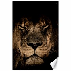 African-lion-mane-close-eyes Canvas 24  X 36  by Ket1n9