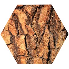 Bark Texture Wood Large Rough Red Wood Outside California Wooden Puzzle Hexagon by Ket1n9