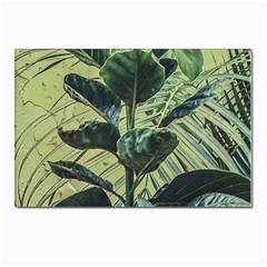 Botanical Tropical Motif Photo Art Postcard 4 x 6  (pkg Of 10) by dflcprintsclothing