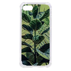 Botanical Tropical Motif Photo Art Iphone Se by dflcprintsclothing