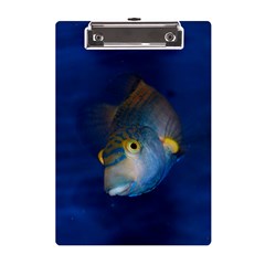 Fish Blue Animal Water Nature A5 Acrylic Clipboard by Amaryn4rt
