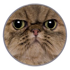 Cute Persian Catface In Closeup Wireless Fast Charger(white) by Amaryn4rt
