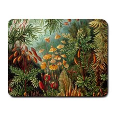 Moose Eurhynchium Haeckel Muscinae Small Mousepad by Pakjumat