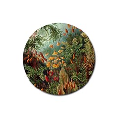 Moose Eurhynchium Haeckel Muscinae Rubber Round Coaster (4 Pack) by Pakjumat