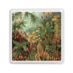 Moose Eurhynchium Haeckel Muscinae Memory Card Reader (square) by Pakjumat