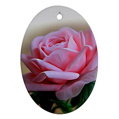 Rose Pink Flowers Pink Saturday Oval Ornament (two Sides) by Amaryn4rt