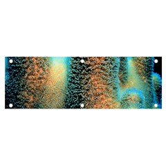 Photo Coral Great Scleractinia Banner And Sign 6  X 2  by Pakjumat