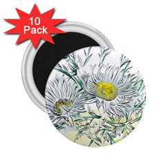 Thistle Alpine Flower Flower Plant 2 25  Magnets (10 Pack)  by Modalart