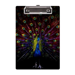 Beautiful Peacock Feather A5 Acrylic Clipboard by Ket1n9
