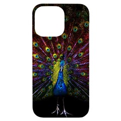 Beautiful Peacock Feather Iphone 14 Pro Max Black Uv Print Case by Ket1n9