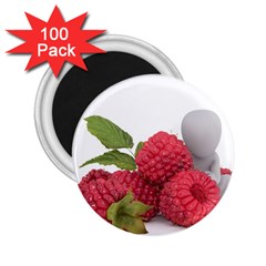 Fruit Healthy Vitamin Vegan 2 25  Magnets (100 Pack) 