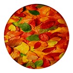 Leaves Texture Round Glass Fridge Magnet (4 pack) Front