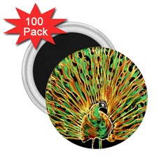 Unusual Peacock Drawn With Flame Lines 2 25  Magnets (100 Pack)  by Ket1n9