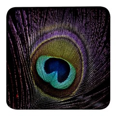 Peacock Feather Square Glass Fridge Magnet (4 Pack) by Ket1n9