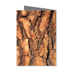 Bark Texture Wood Large Rough Red Wood Outside California Mini Greeting Cards (pkg Of 8) by Ket1n9
