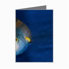 Fish Blue Animal Water Nature Mini Greeting Card by Hannah976