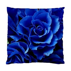 Blue Roses Flowers Plant Romance Blossom Bloom Nature Flora Petals Standard Cushion Case (one Side)