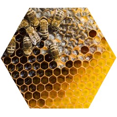 Honeycomb With Bees Wooden Puzzle Hexagon