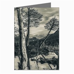 Dry Forest Landscape, Tierra Del Fuego, Argentina Greeting Cards (pkg Of 8) by dflcprintsclothing