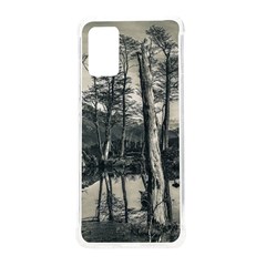 Dry Forest Landscape, Tierra Del Fuego, Argentina Samsung Galaxy S20plus 6 7 Inch Tpu Uv Case by dflcprintsclothing