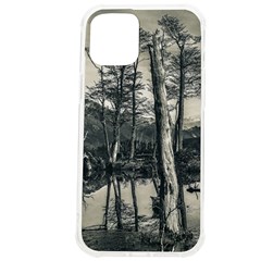 Dry Forest Landscape, Tierra Del Fuego, Argentina Iphone 12 Pro Max Tpu Uv Print Case by dflcprintsclothing