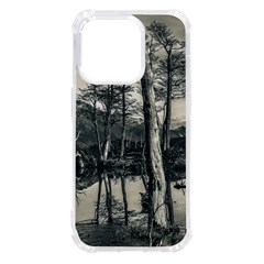 Dry Forest Landscape, Tierra Del Fuego, Argentina Iphone 14 Pro Tpu Uv Print Case by dflcprintsclothing