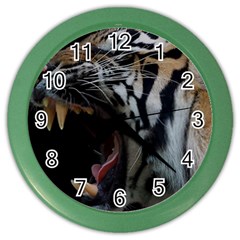Angry Tiger Roar Color Wall Clock