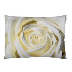 White Roses Flowers Plant Romance Blossom Bloom Nature Flora Petals Pillow Case (two Sides)