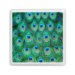 Feather, Bird, Pattern, Peacock, Texture Memory Card Reader (square) by nateshop