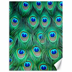 Peacock Feathers, Bonito, Bird, Blue, Colorful, Feathers Canvas 18  X 24  by nateshop