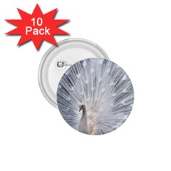 White Feathers, Animal, Bird, Feather, Peacock 1 75  Buttons (10 Pack) by nateshop