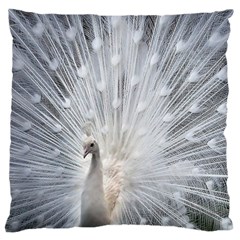 White Feathers, Animal, Bird, Feather, Peacock Large Cushion Case (two Sides) by nateshop