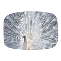 White Feathers, Animal, Bird, Feather, Peacock Mini Square Pill Box by nateshop