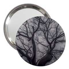 Landscape Forest Ceiba Tree, Guayaquil, Ecuador 3  Handbag Mirrors by dflcprintsclothing