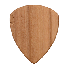 Fruits, Fruit, Lemon, Lime, Mandarin, Water, Orange Wood Guitar Pick (set Of 10) by nateshop