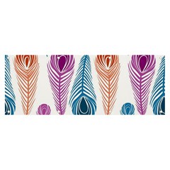 Pen Peacock Colors Colored Pattern Banner And Sign 8  X 3 