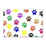 Pawprints Paw Prints Paw Animal Sticker A4 (100 pack) Front