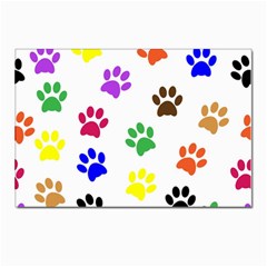 Pawprints Paw Prints Paw Animal Postcard 4 x 6  (pkg Of 10)