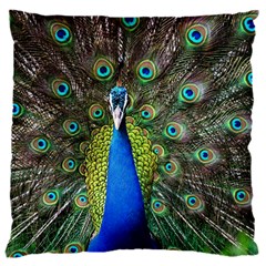 Peacock Bird Feathers Pheasant Nature Animal Texture Pattern 16  Baby Flannel Cushion Case (two Sides) by Bedest