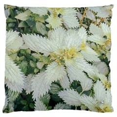 Enchanting Foliage Sharp Edged Leaves In Pale Yellow And Silver Bk Large Cushion Case (two Sides) by dflcprintsclothing