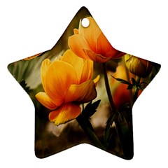 Yellow Butterfly Flower Star Ornament (two Sides)