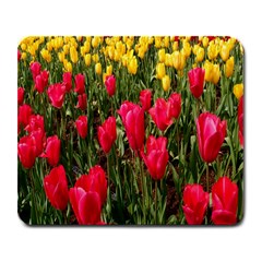 Yellow Pink Red Flowers Large Mousepad