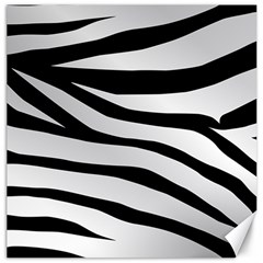 White Tiger Skin Canvas 16  X 16 