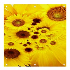 Beautiful Sunflowers Banner And Sign 4  X 4 