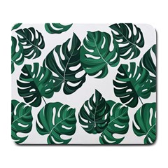 Illustrations Monstera Leafes Large Mousepad