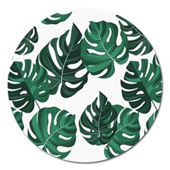 Illustrations Monstera Leafes Magnet 5  (round)