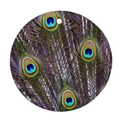 Peacock Bird Feathers Plumage Peacock Round Ornament (two Sides)